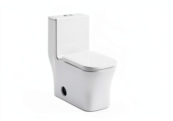 Concorde Square Toilet Swiss Madison 14" Rough-In Dual Flush-8