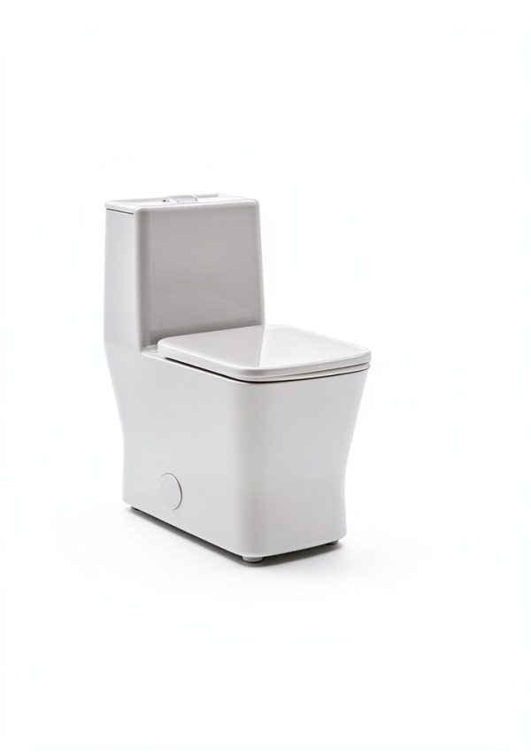 Concorde Square Toilet Swiss Madison 14" Rough-In Dual Flush-9