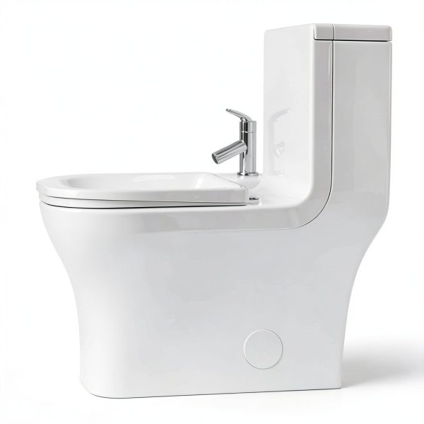 Concorde Square Toilet Swiss Madison 14" Rough-In Dual Flush-5