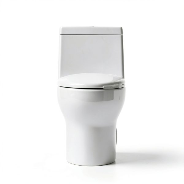 Deer Valley DV-1F026R Elongated One Piece Toilet with ADA Comfortable Seat Height, Dual Flush 1.1/1.6 GPF, Powerful & Quiet Modern Toilet for Bathroom, 10" Rough-In-1
