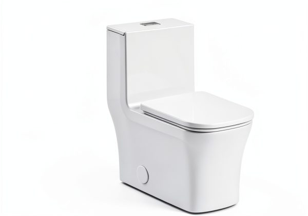 Concorde Square Toilet Swiss Madison 14" Rough-In Dual Flush-7
