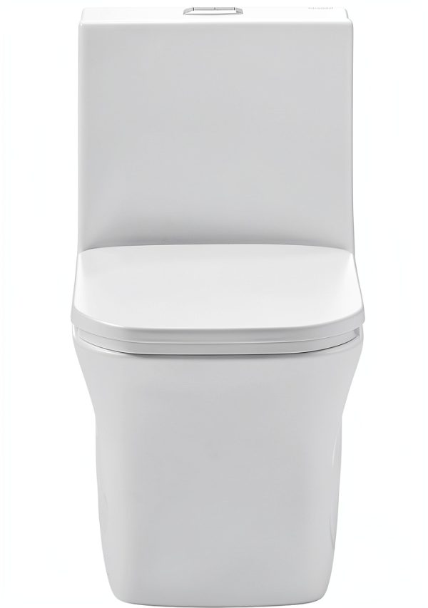 Concorde Square Toilet Swiss Madison 14" Rough-In Dual Flush-1