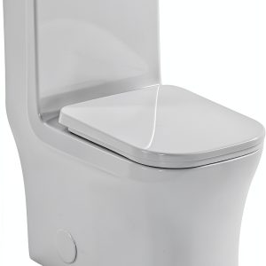 Concorde Square Toilet Swiss Madison 14" Rough-In Dual Flush-0