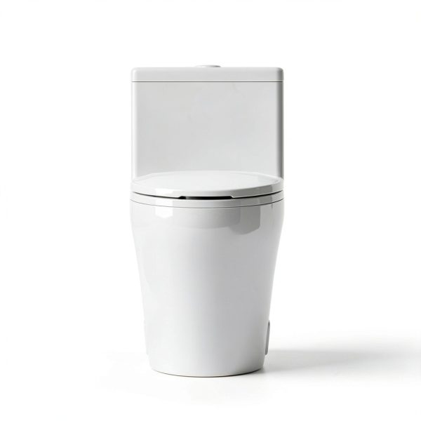 Elongated One Piece Toilet BYBARENOVA ADA Height Dual Flush White-2