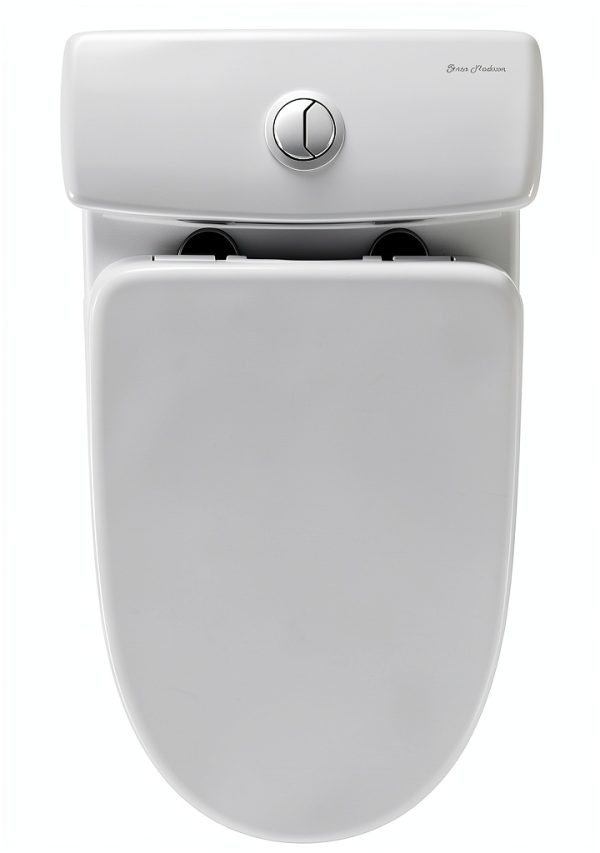 Swiss Madison SM-1T257 Toilet Dual Flush 24" Compact Glossy White-3
