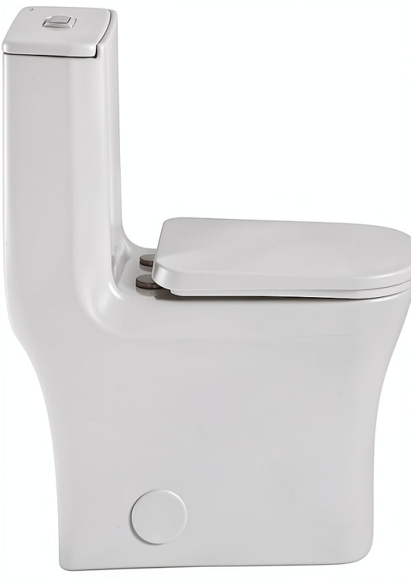 Concorde Square Toilet Swiss Madison 14" Rough-In Dual Flush-2