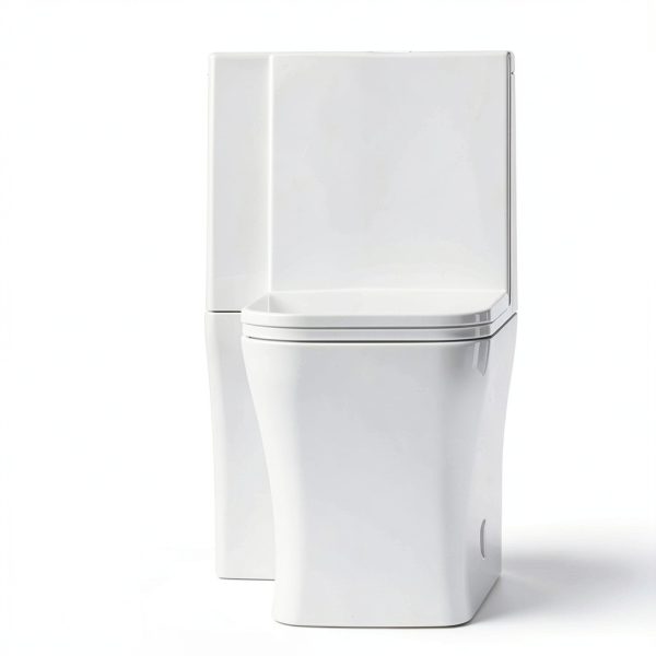 Concorde Square Toilet Swiss Madison 14" Rough-In Dual Flush-4
