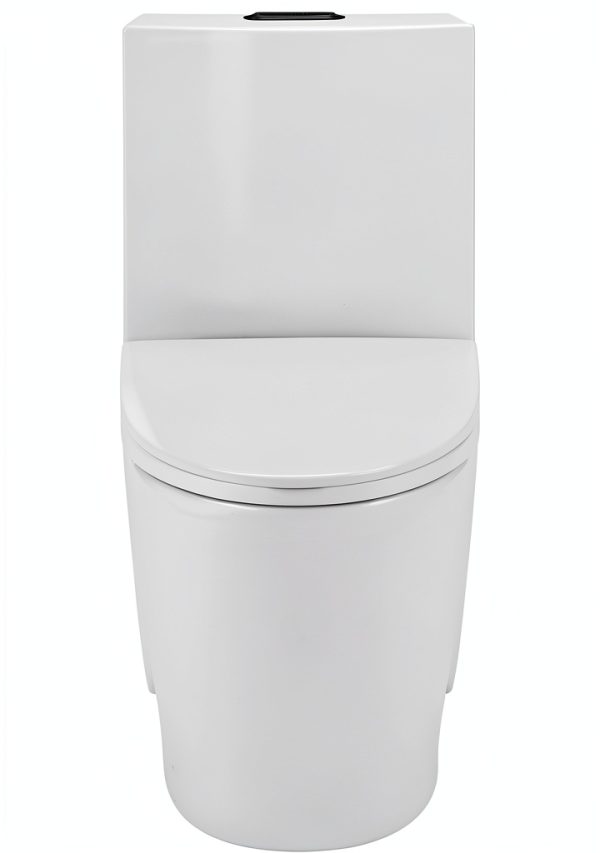 Swiss Madison One-Piece Toilet SM-1T254HB Dual-Flush White Finish-1